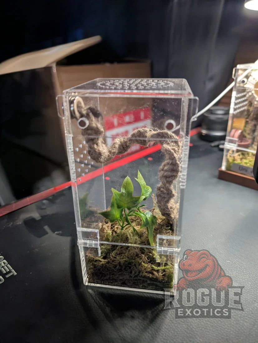 Premium Magnetic Jumper Enclosure
